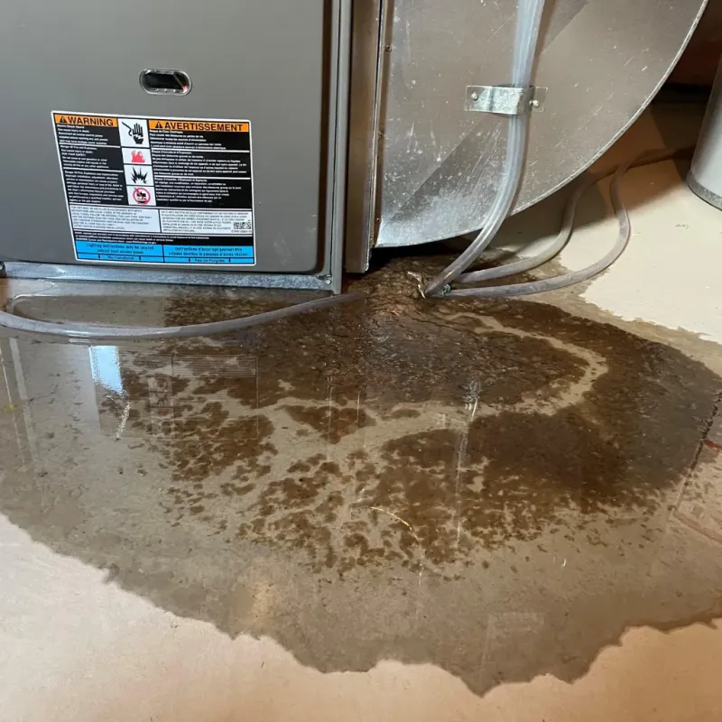 Appliance Leak Cleanup in Manteo, NC